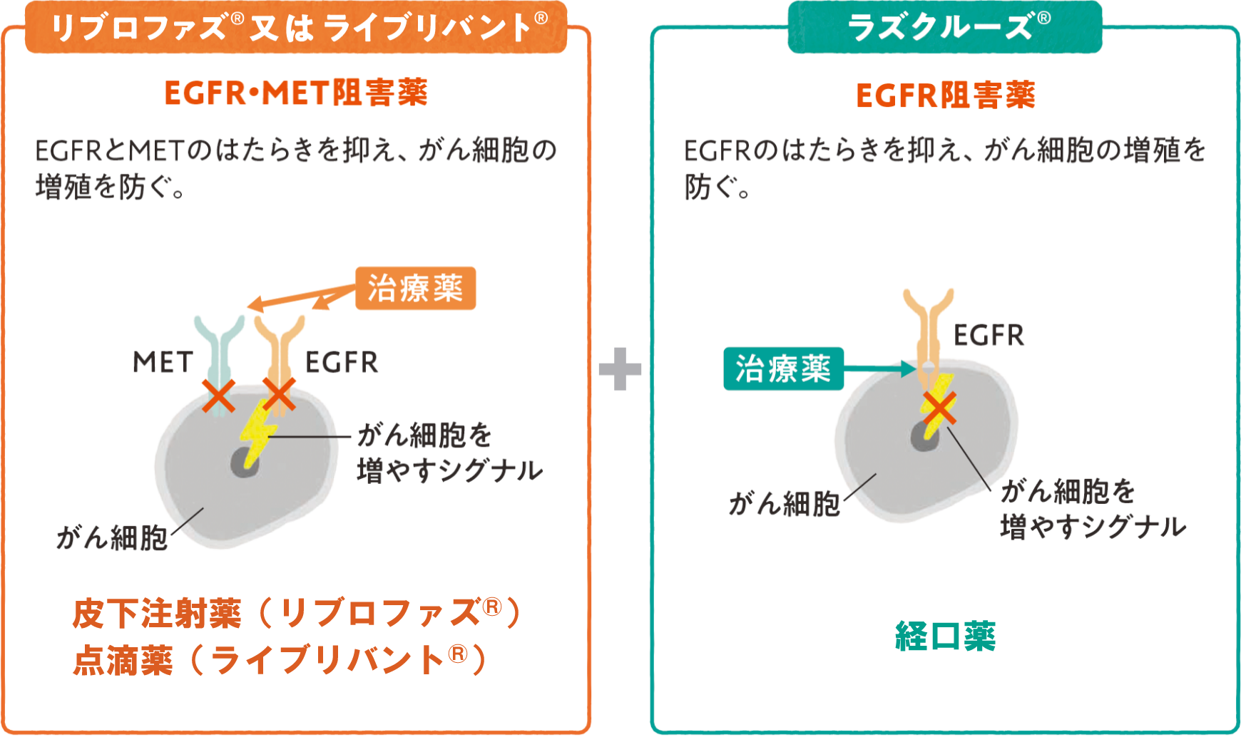 リブロファズ®とラズクルーズ®の併用療法