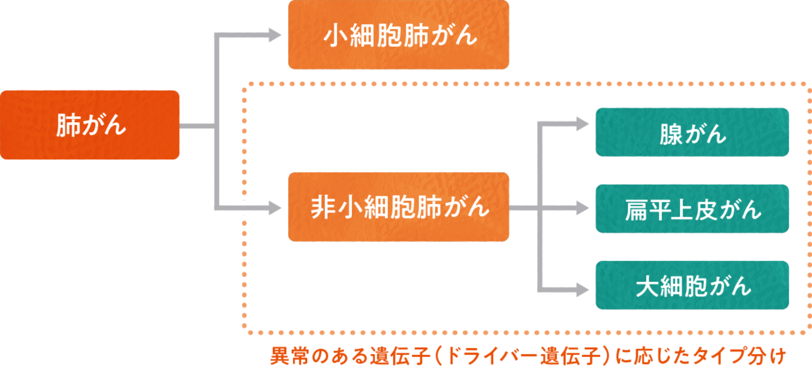 肺がんの種類と性質