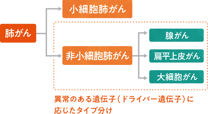 肺がんの種類と性質