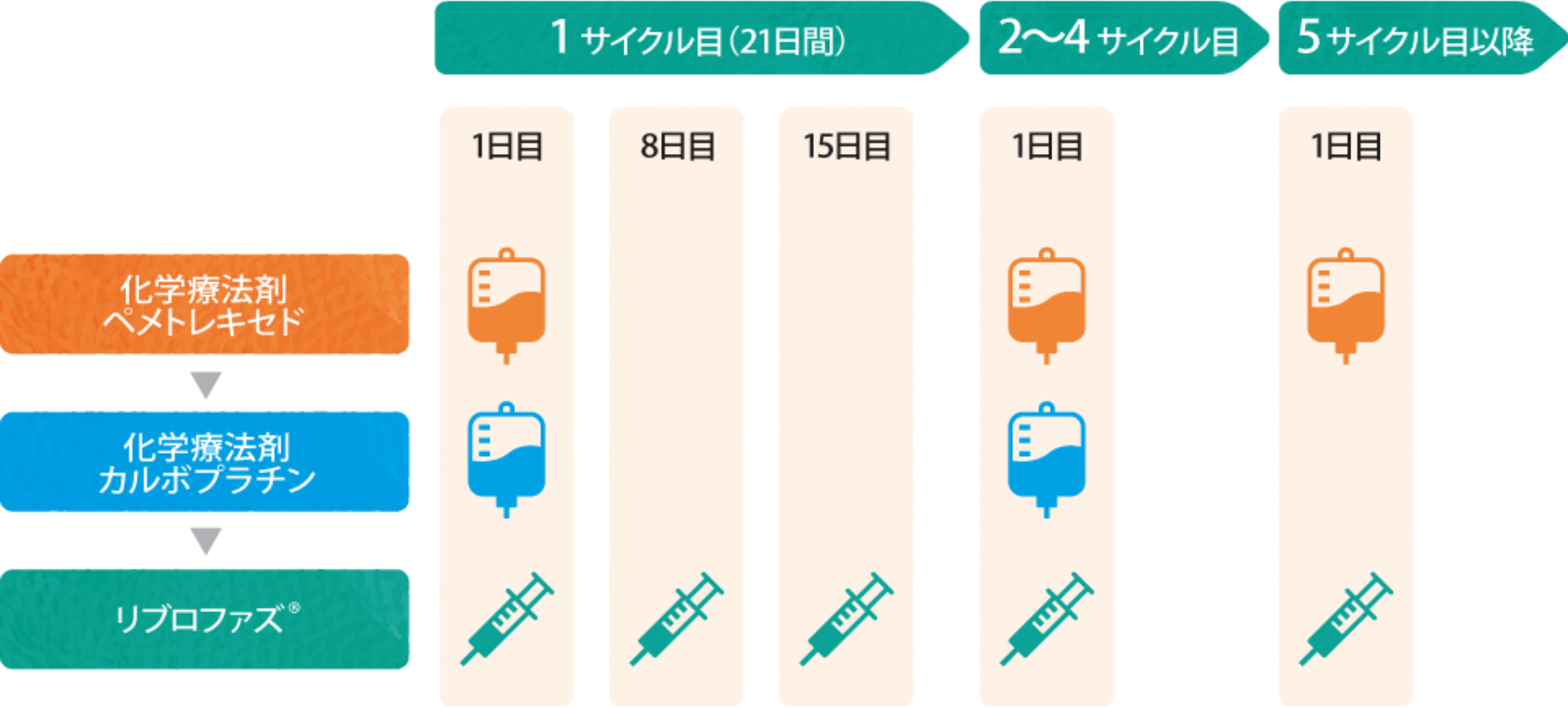 投与スケジュールの全体像